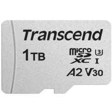 Transcend microSDXC 100R 1TB